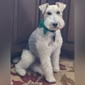 Meet your Posher, Lourdes